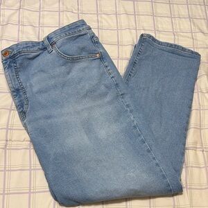 Terra & Sky Light Blue Straight Leg Jeans